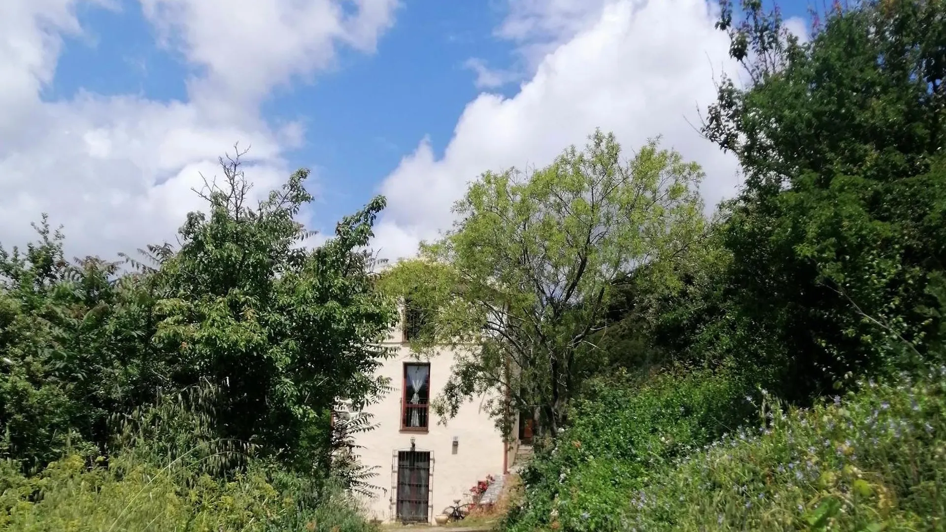 La Peonia Casa Vacanze In Montagna Prato Verde Panorama Stupendo Sardegna Seùlo
