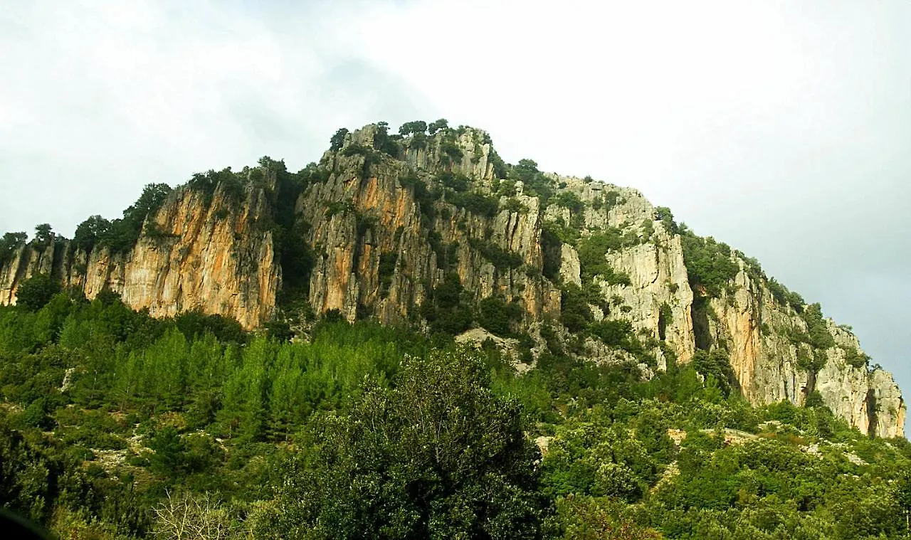 La Peonia Casa Vacanze In Montagna Prato Verde Panorama Stupendo Sardegna Seùlo Appartement