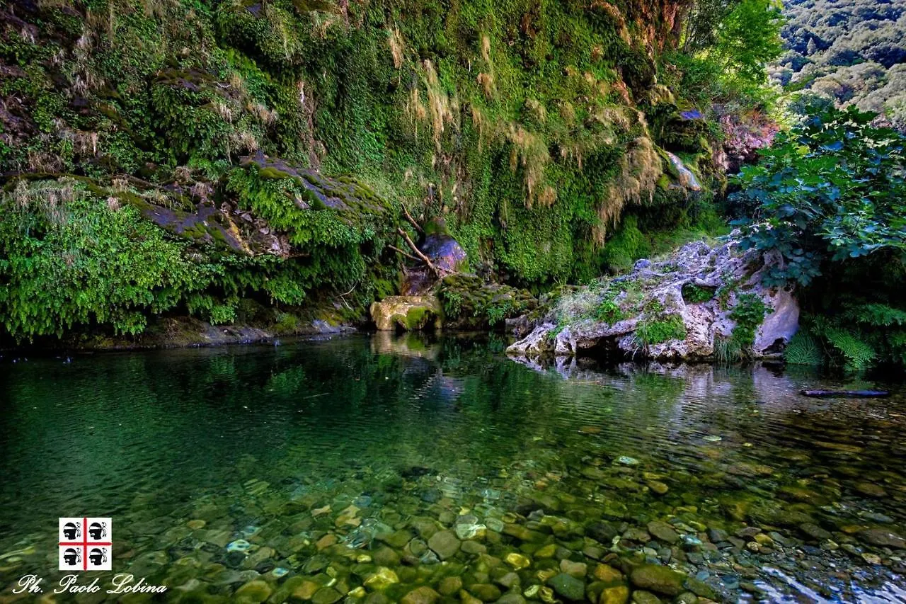 La Peonia Casa Vacanze In Montagna Prato Verde Panorama Stupendo Sardegna Seùlo Appartement
